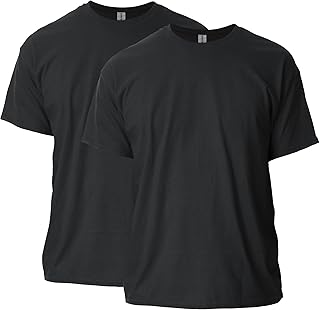 Men's Heavy Cotton T-Shirt, Style G5000, 2-Pack