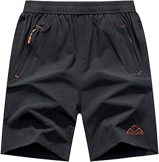 Men's Quick Dry Hiking Shorts Lightweight Running Gym Outdoor Active Shorts with Zipper Pockets