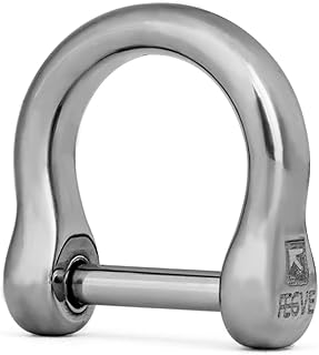 TISUR Titanium D-Rings with Screw Shackle, U Shape Key Chains Rings, Car Keys tools, DIY Leather Craft Purse/Wallet Buckle 1 pcs (polished, tiny)
