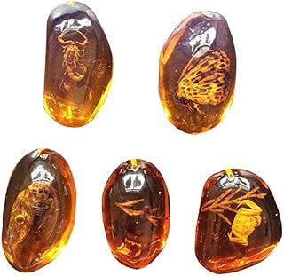 zmgmsmh 5pcs Amber Fossil with Insects Samples Stones Crystal Specimens Home Decorations Collection Oval Pendant (Random Pattern)
