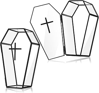 Sasylvia 2 Pcs Coffin Box Coffin Jewelry Box Gothic Jewelry Storage Coffin Shaped Glass Jewelry Box Gothic Halloween Storage Casket Decoration Gothic Home Decor Jewelry Box with Lid for Party