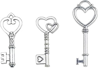 Makhry Mixed 30 Antique Style Vintage Skeleton Keys Heart Shaped Key Craft Keys for Decoration Wedding Party Antique Charms(Antique Silver 01)