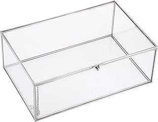 Hipiwe Vintage Glass Box with Lid - Rectangle Jewelry Display Organizer Box Silver Vanity Lidded Box Home Decor Accent Decorative Glass Box for Keepsakes Trinket Perfume,X-Large