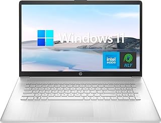 17.3'' Laptop, Intel Quad Core i3-1125G4 Processor, 20GB RAM, 1TB SSD, Anti-Glare Display, Long Battery Life, Wi-Fi and Bluetooth, Webcam, HDMI, NLY MP, Windows 11, Silver