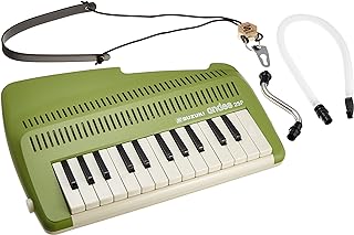 Suzuki Keyboard Recorder Andes 25F Keyboard Recorder That Can Play Whistle Sounds and Chords, Green